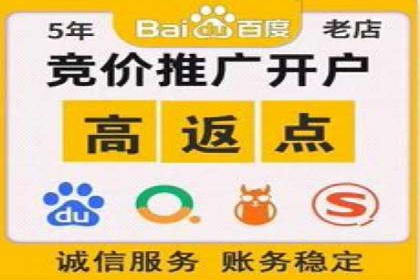 SEM托管公司案例：业绩提升之道