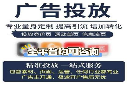 网络推广与竞价策略实战案例